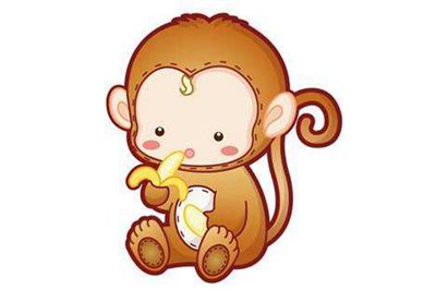 不同年份的属猴人在2019年的运程分析